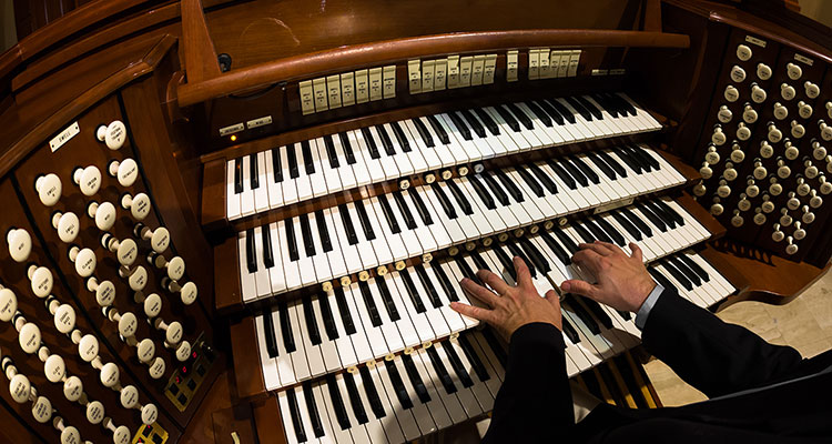 Musique adulte