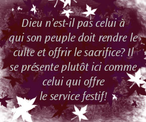 Extrait