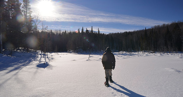 Hiver