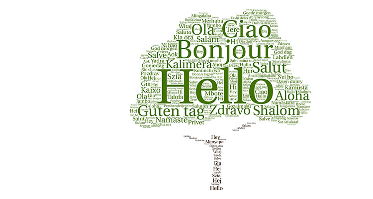 Multi-langues