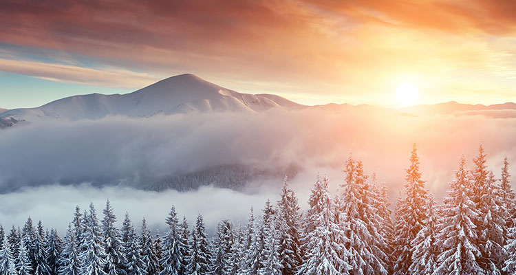 paysage hivernal