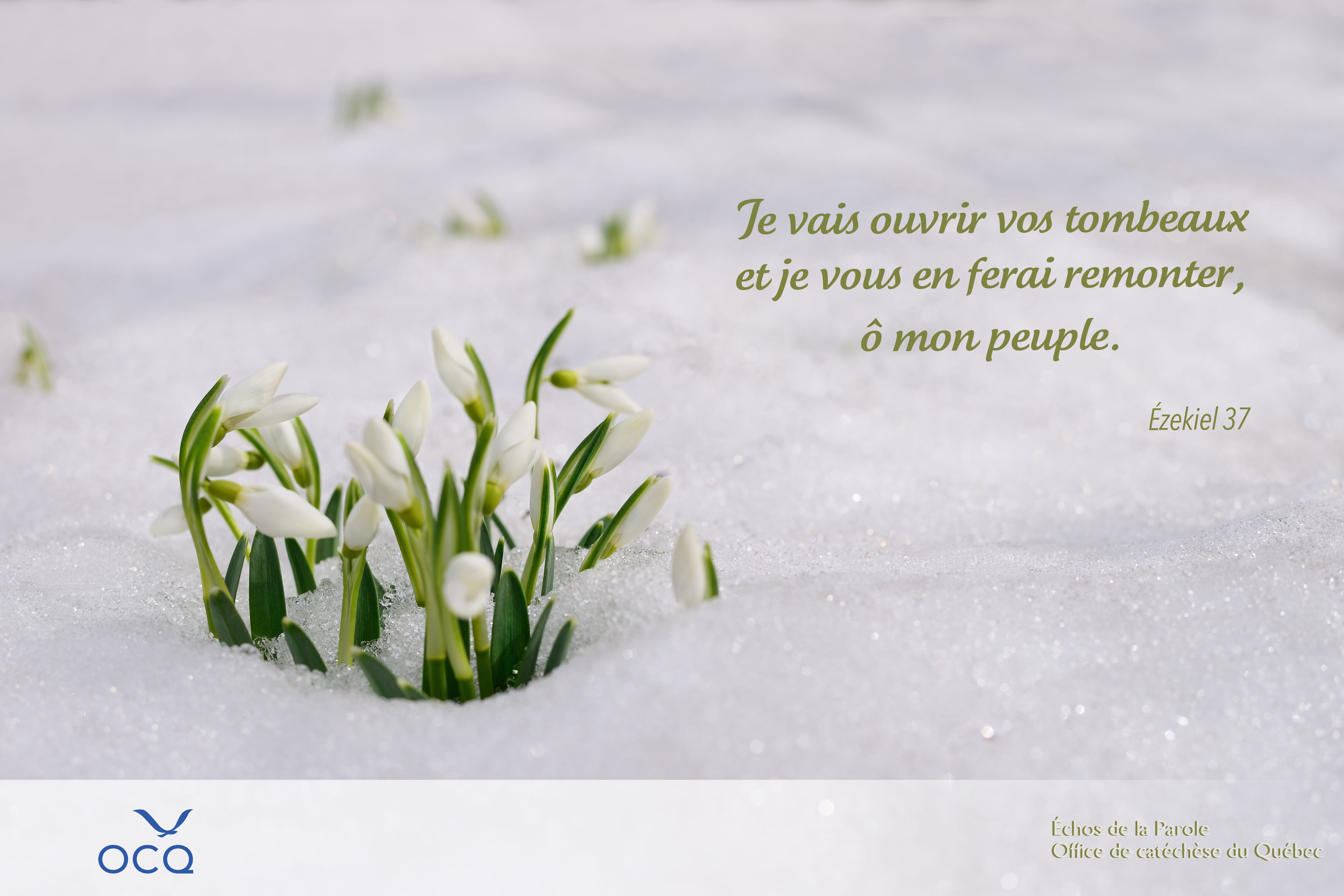 Extrait de la semaine
