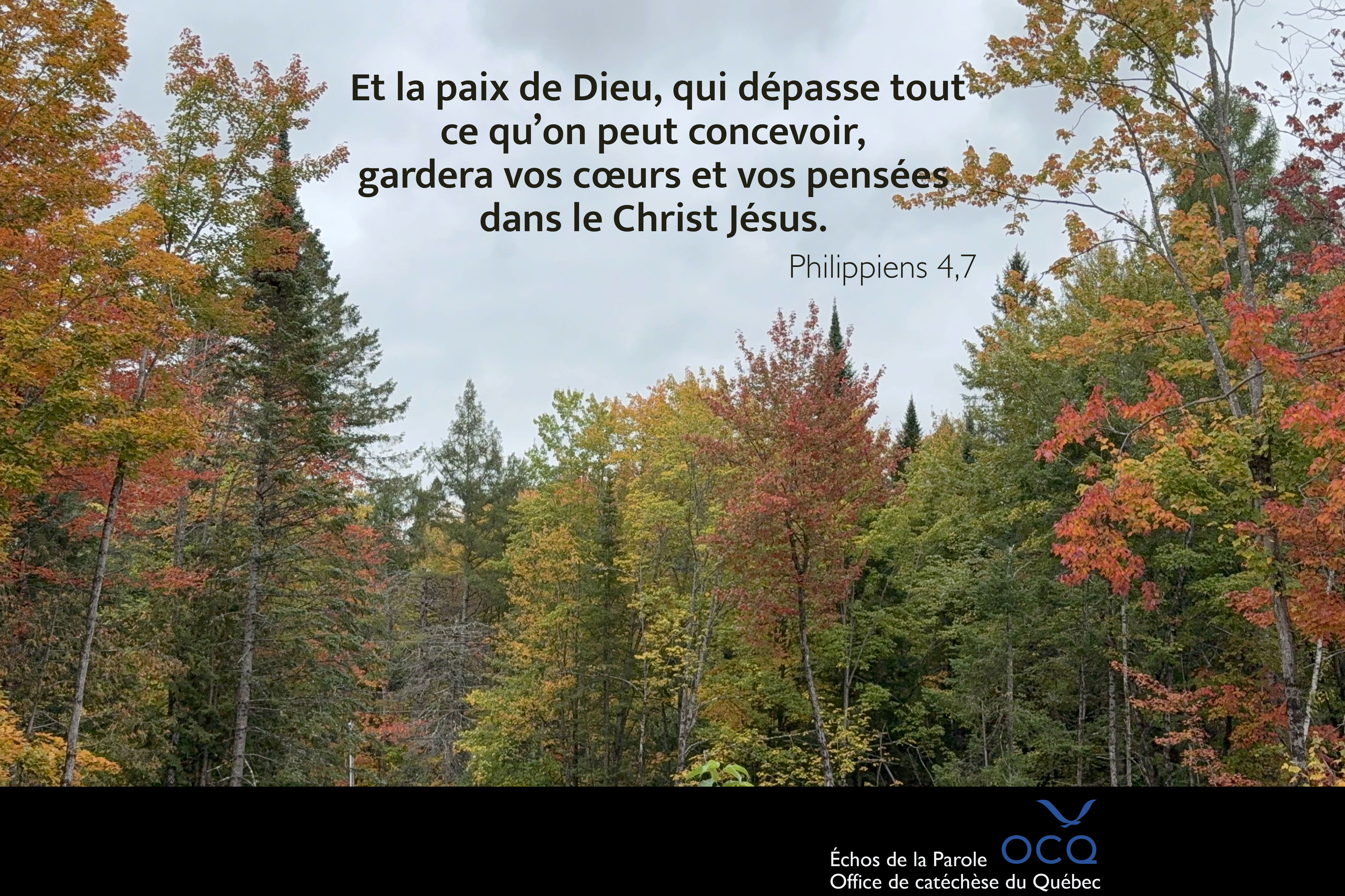 Paysage d'automne avec citation de Ph 4,7
