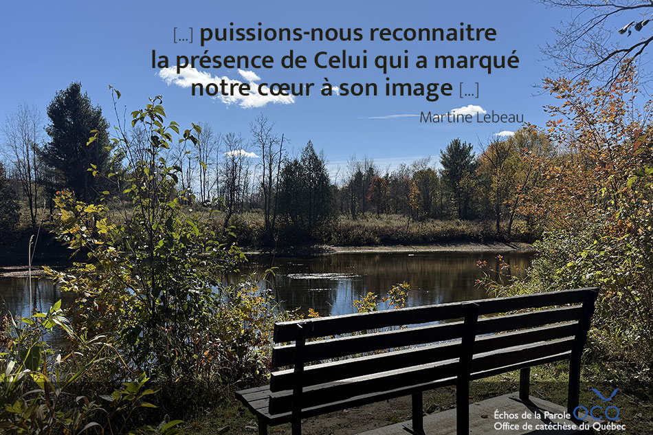 Banc de parc devant une rivière