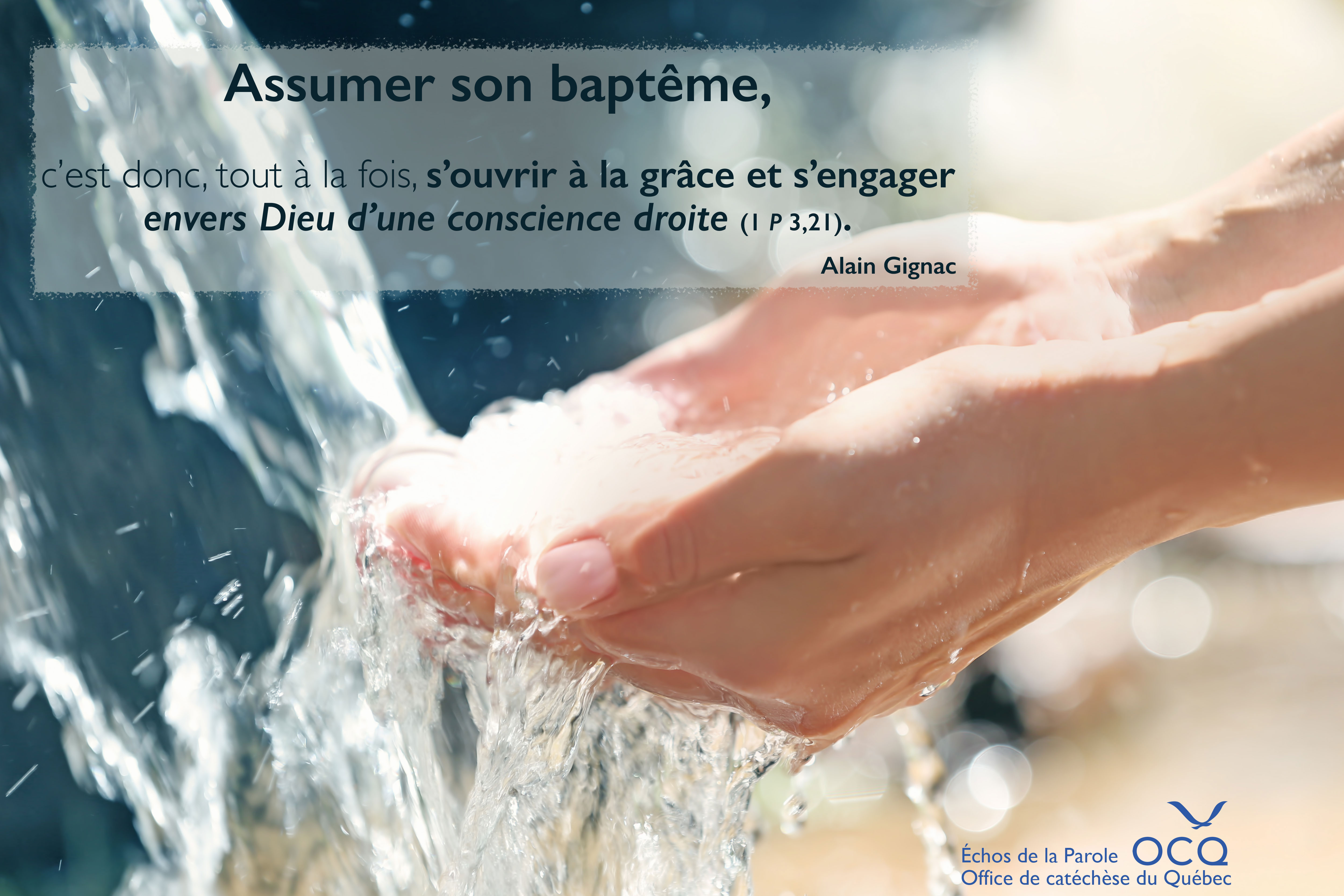 Une homélie sur le sens de notre baptême 