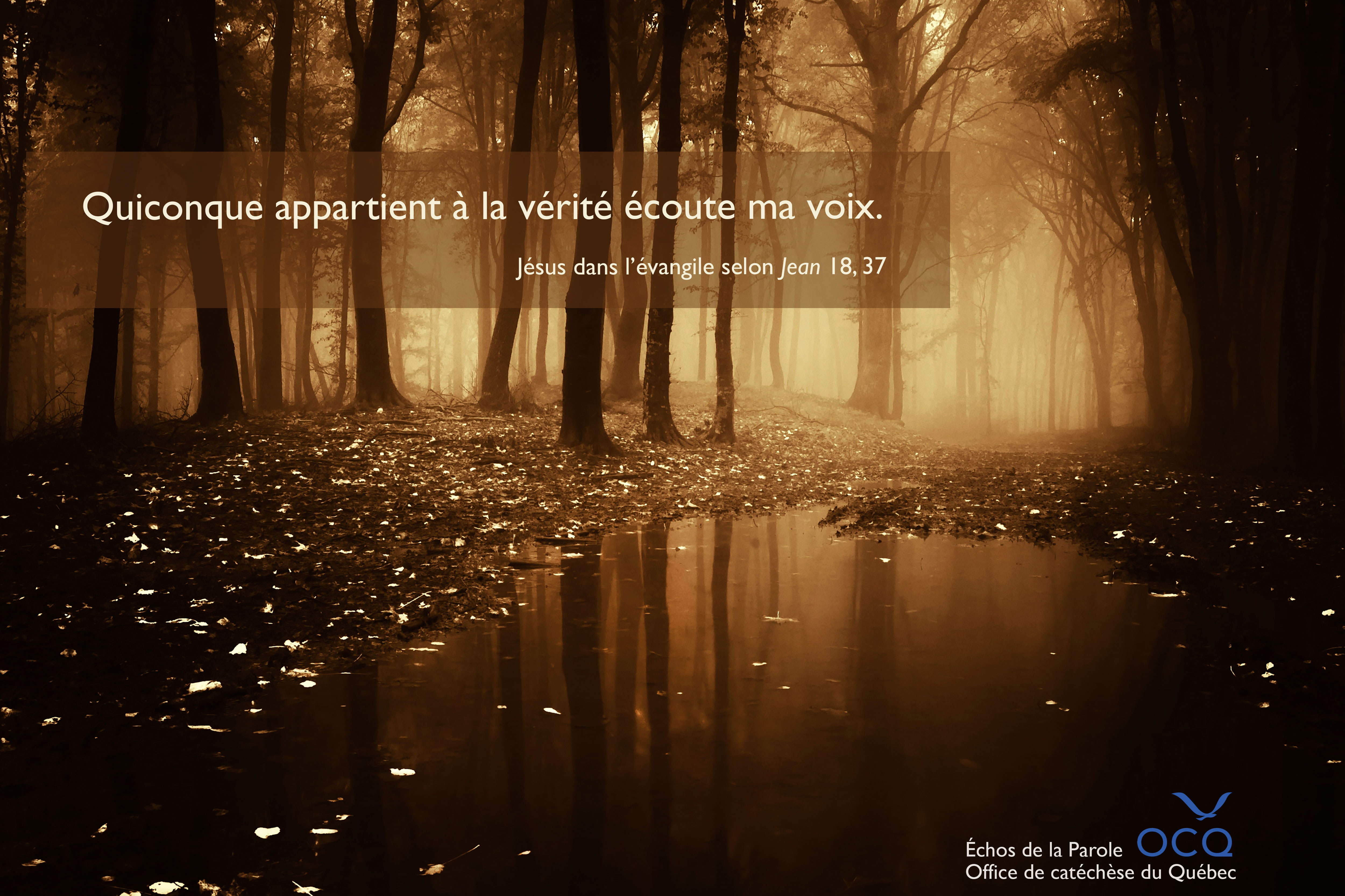 Quiconque appartient à la vérité écoute ma voix