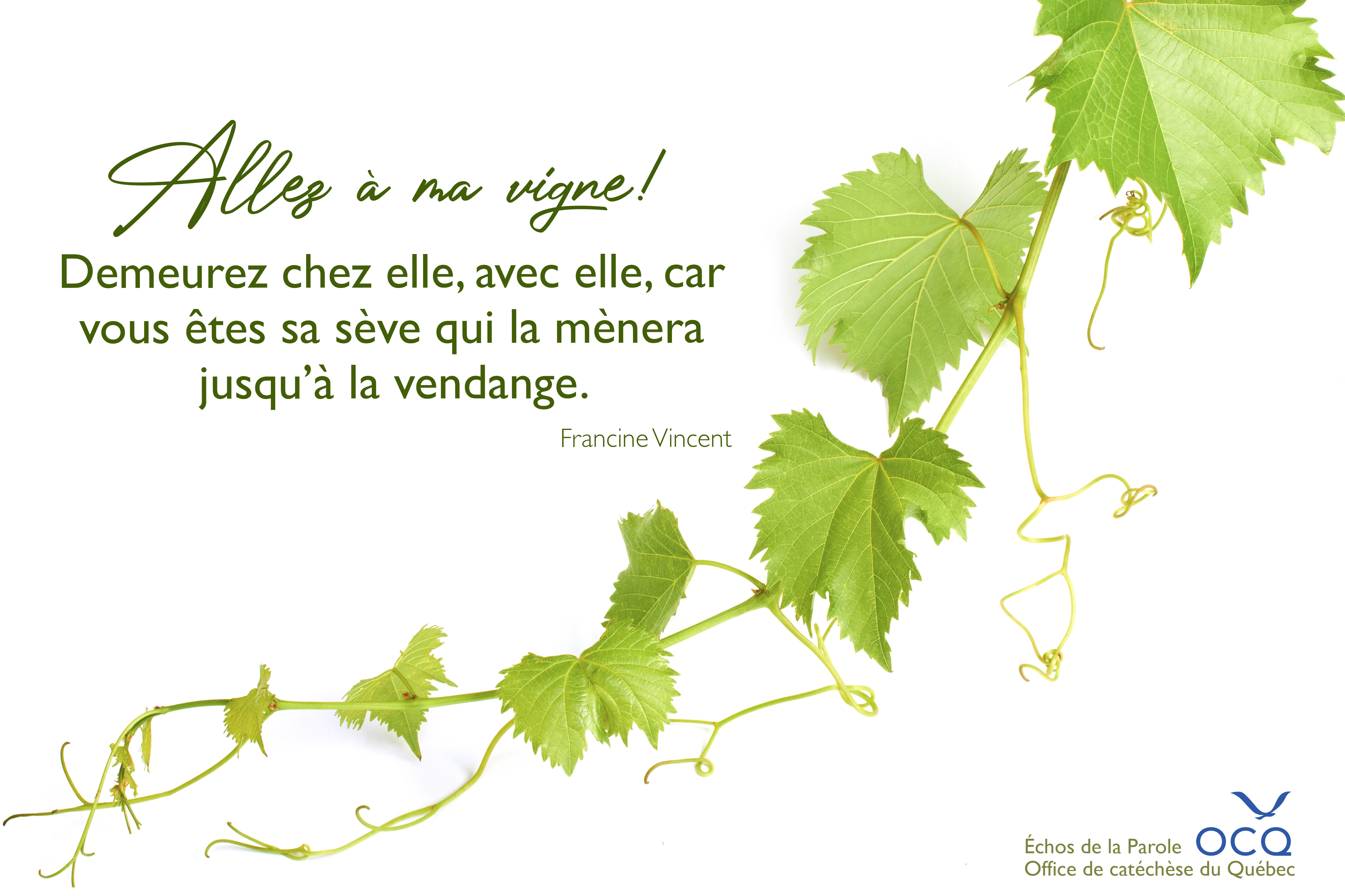 Allez à ma vigne! Demeurez chez elle, avec elle, car vous êtes sa sève qui la mènera jusqu’à la vendange.