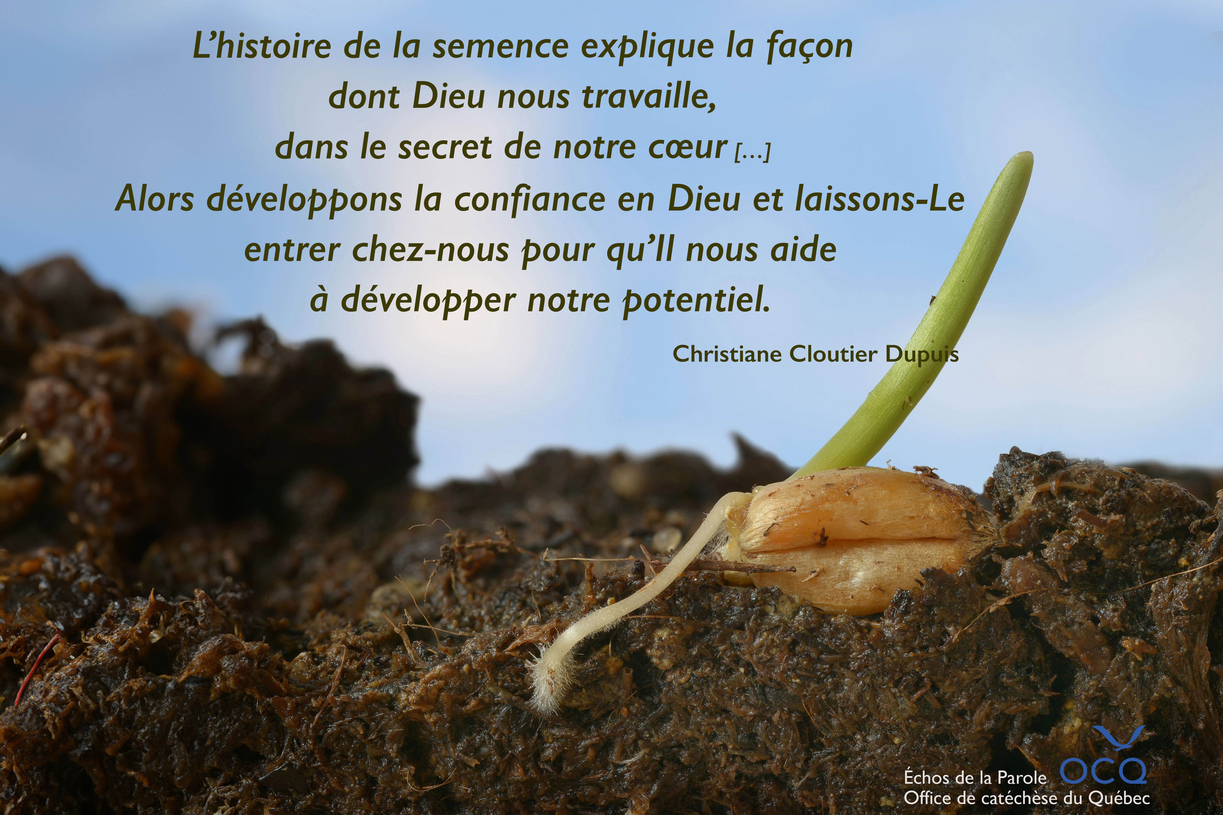 L’histoire de la semence explique la façon dont Dieu nous travaille, dans le secret de notre cœur […] 