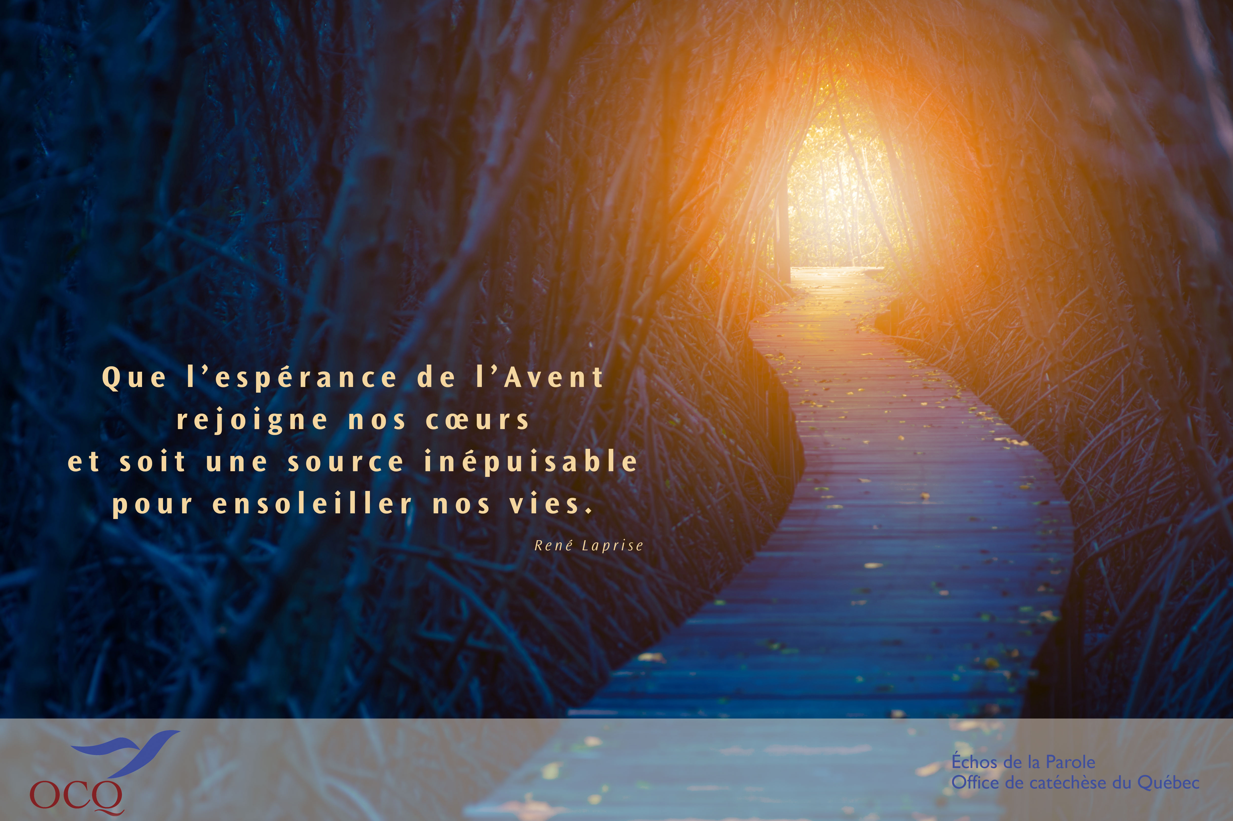 Extrait de la semaine