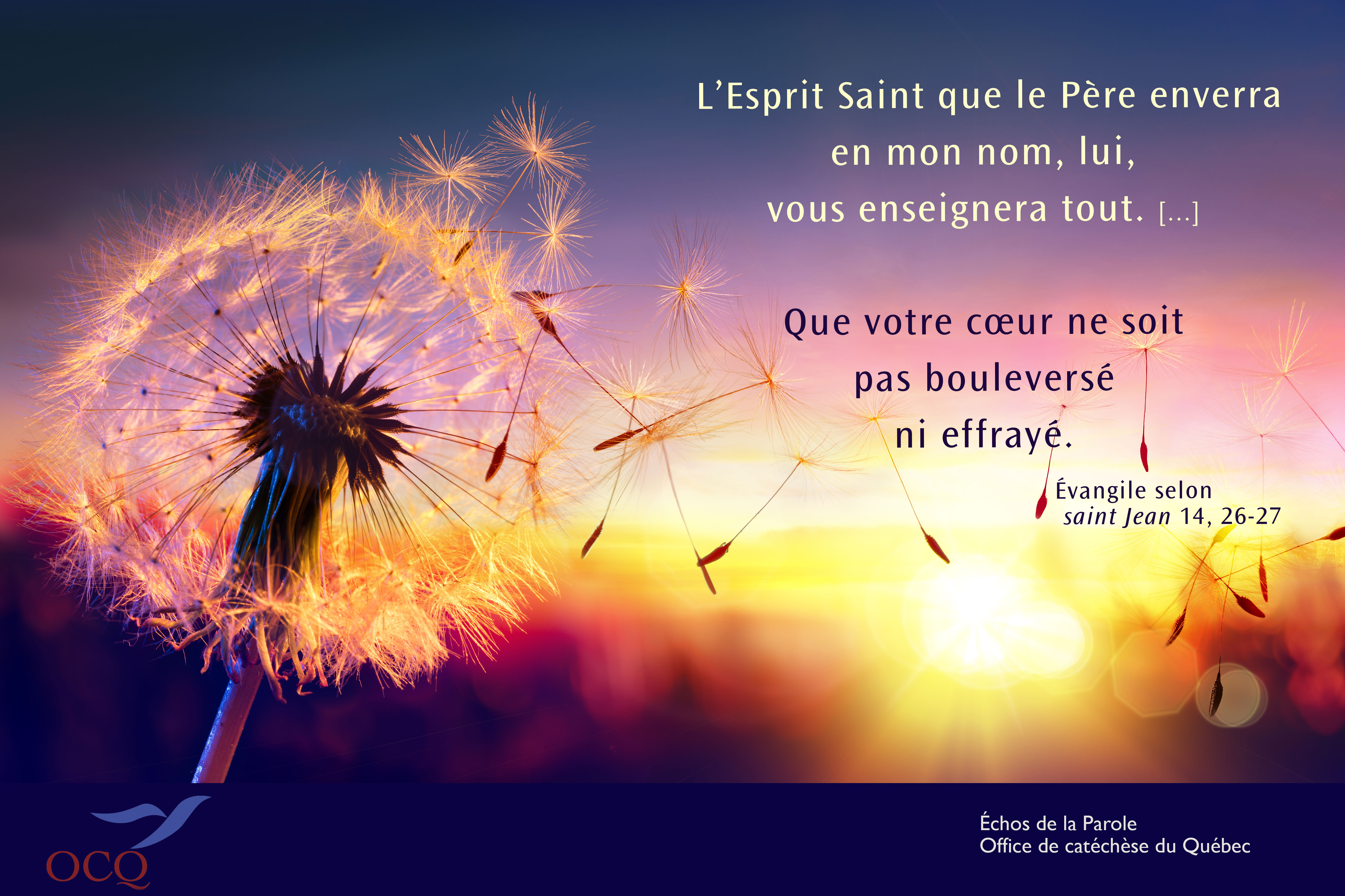 Extrait de la semaine