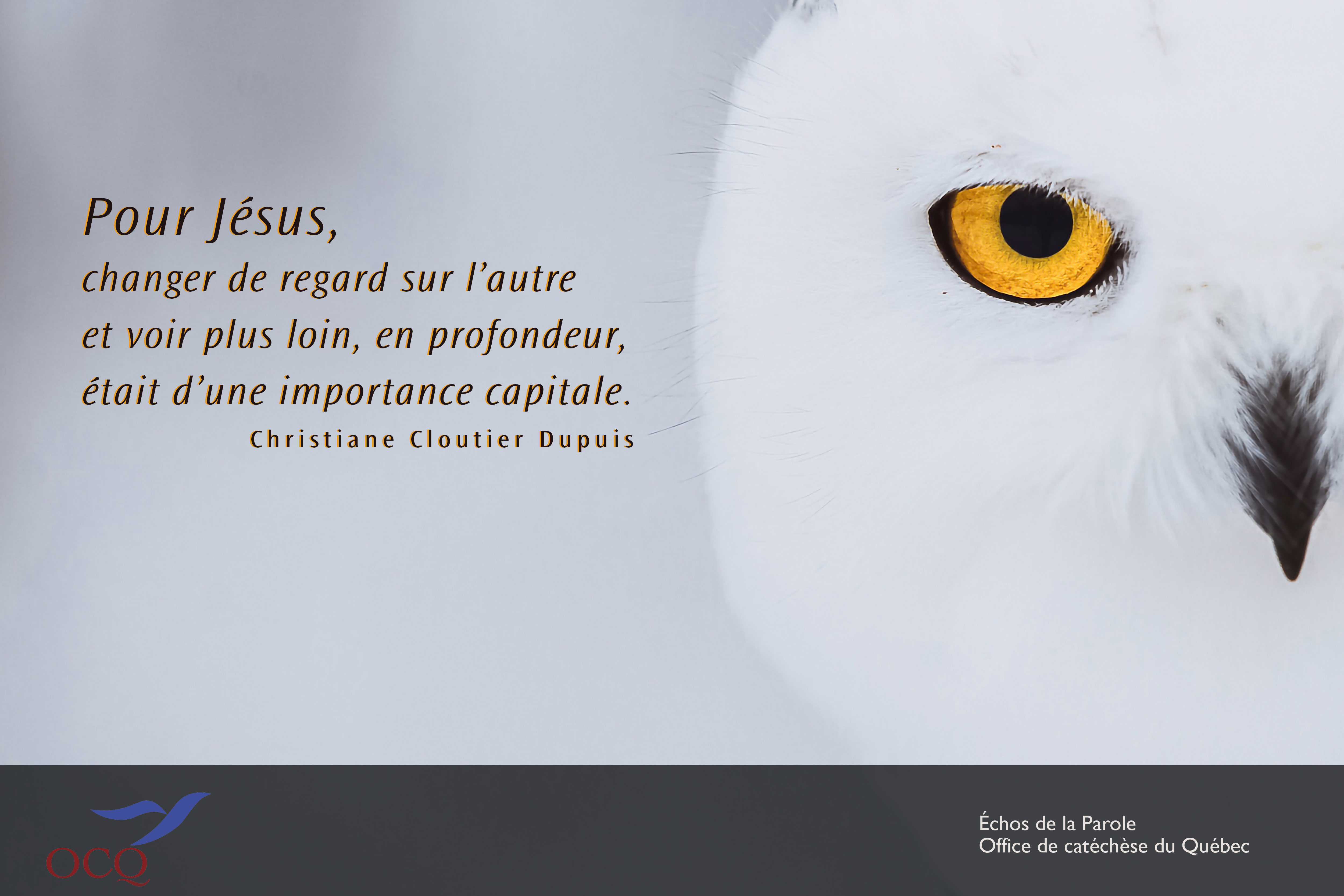Extrait en image