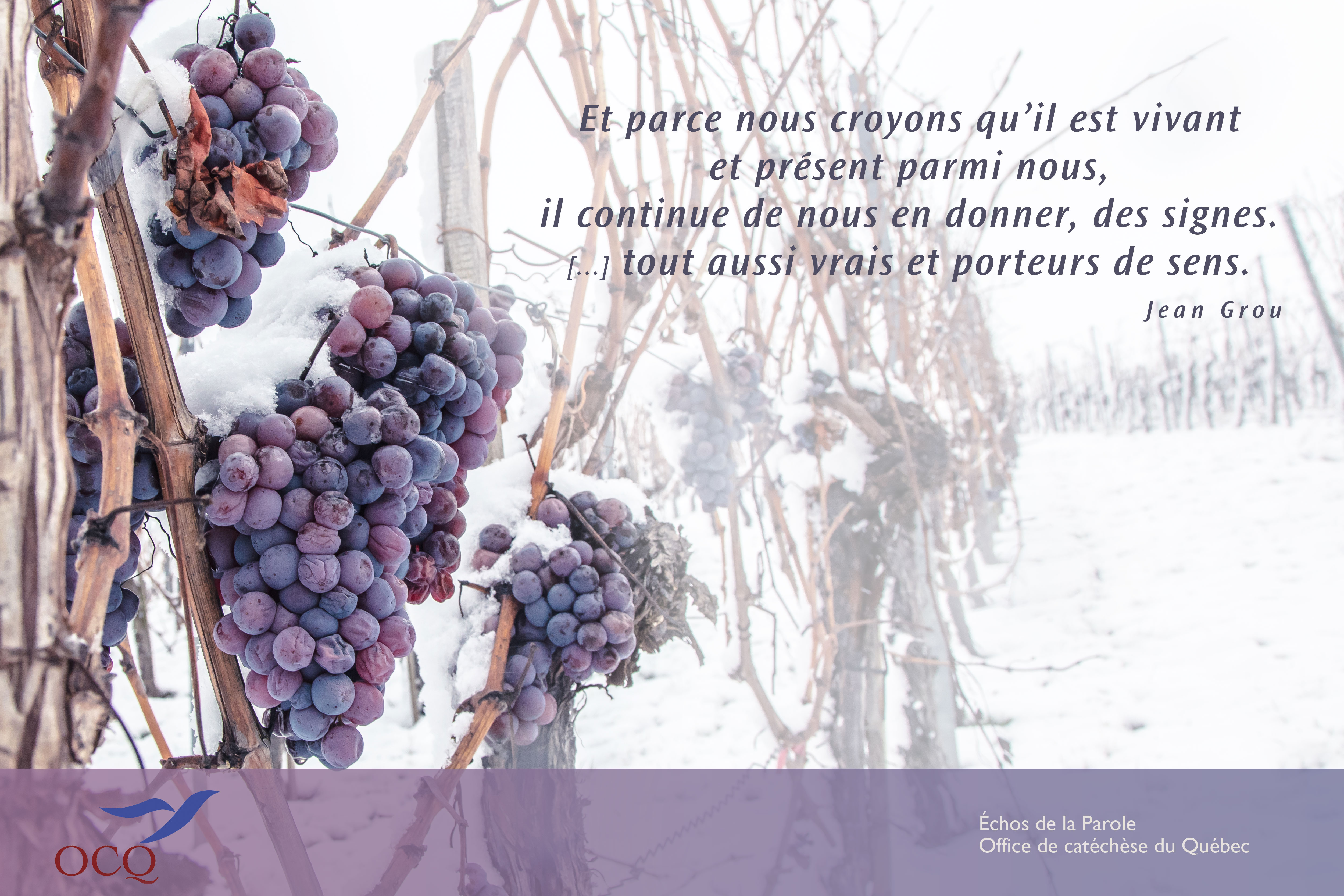 Extrait de la semaine