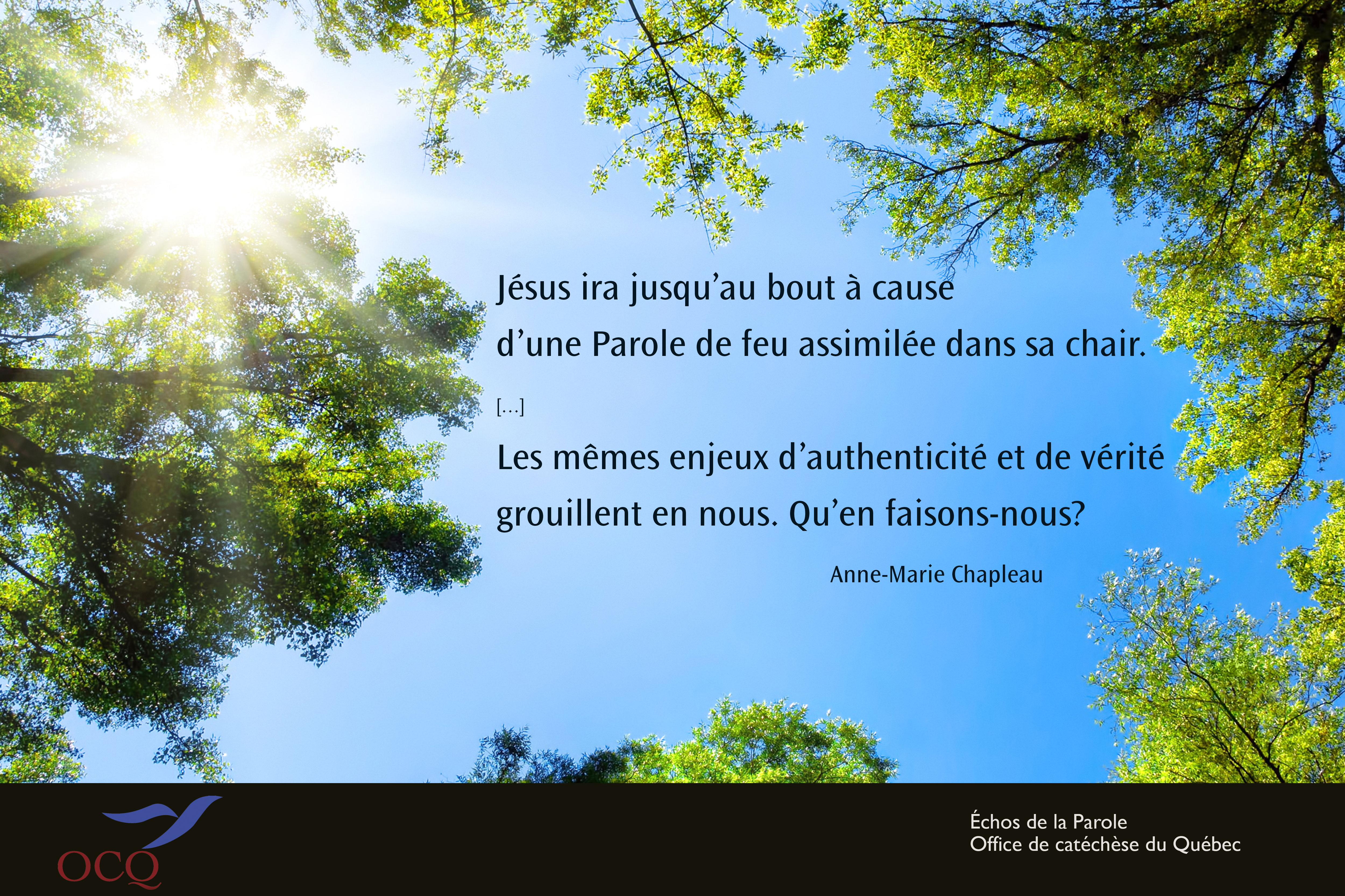 Extrait de la semaine