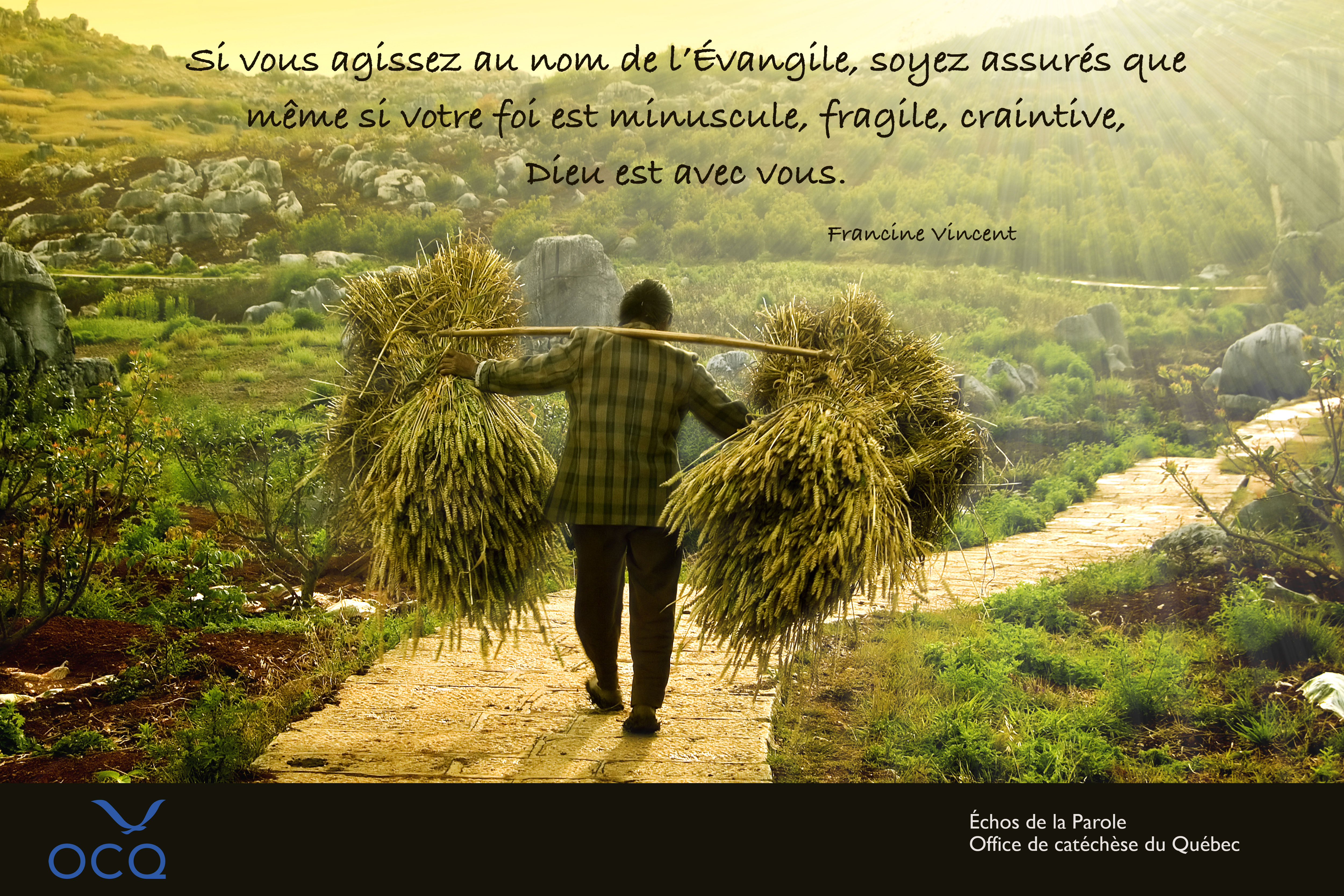 Extrait de la semaine