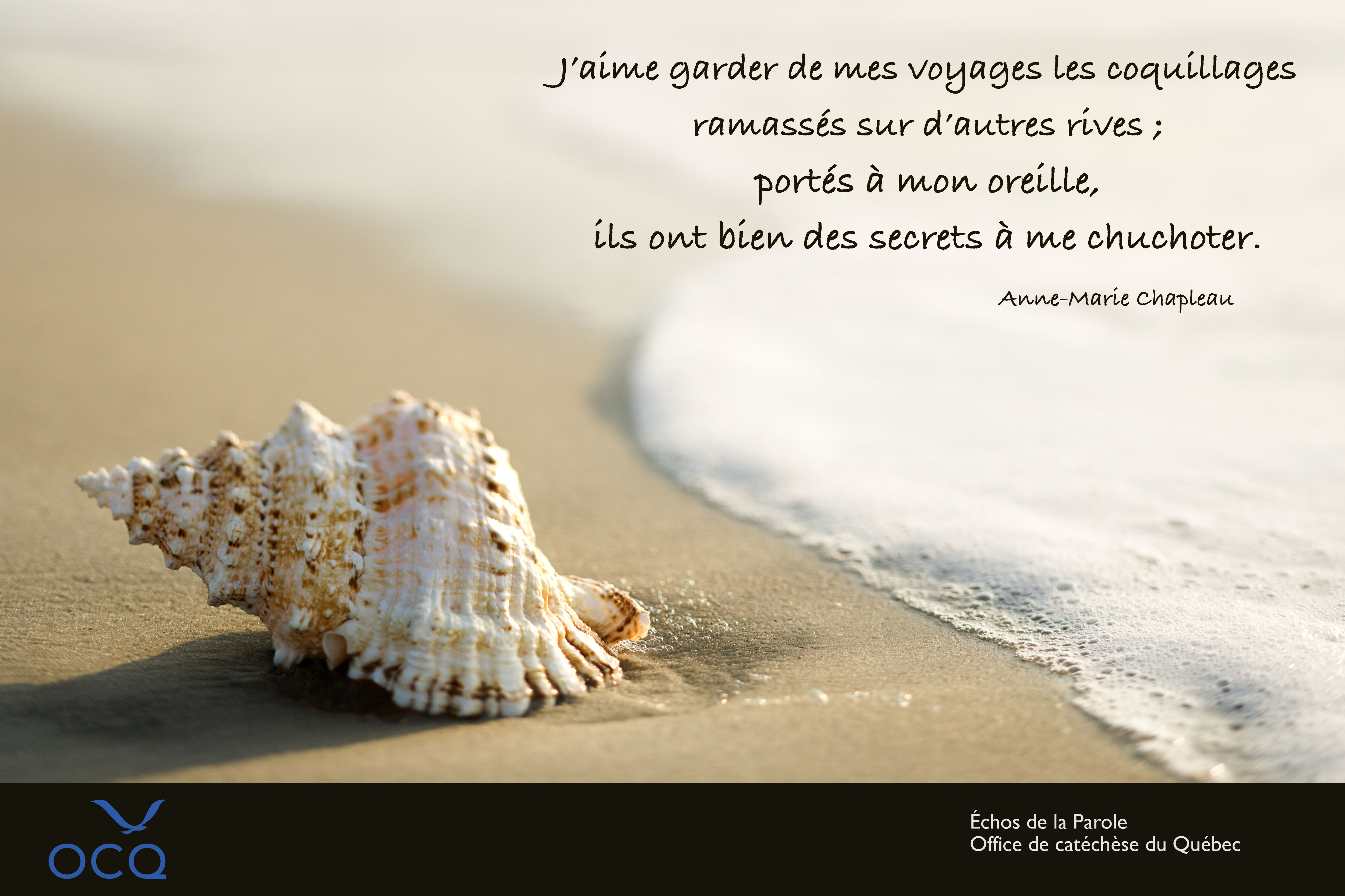 Extrait de la semaine