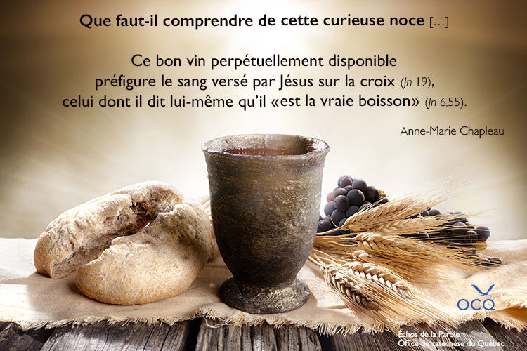 Diversité, nouveauté et bon vin !