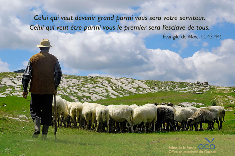  Celui qui veut devenir grand parmi vous sera votre serviteur. Celui qui veut être parmi vous le premier sera l’esclave de tous. 