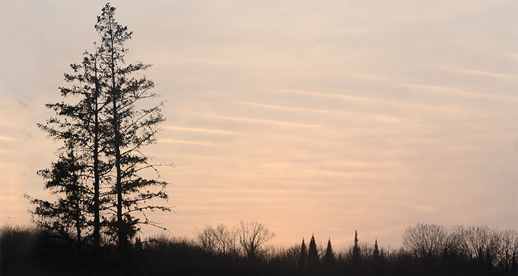 Au ciel