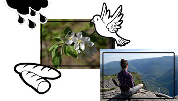 images