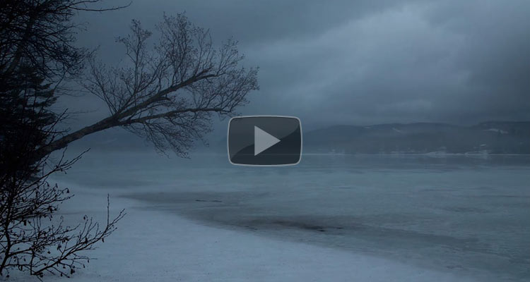 Au crépuscule des arbres